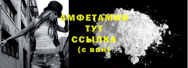 дживик Богородск