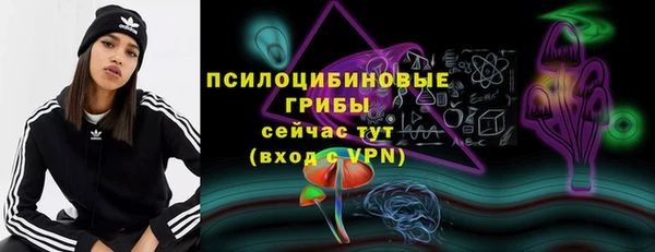 шишки Богданович