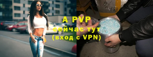 дживик Богородск