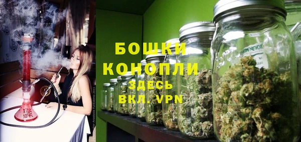 шишки Богданович