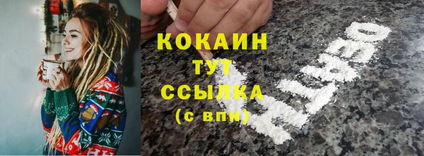 дживик Богородск