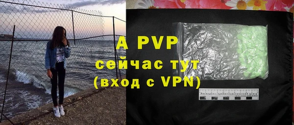 шишки Богданович